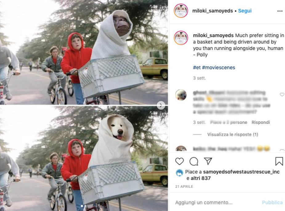 E.T.