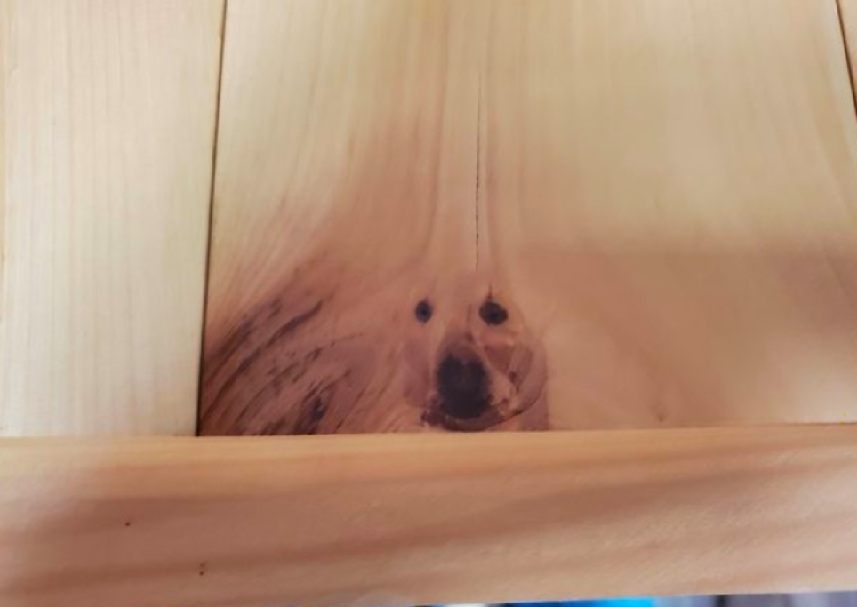Questa striatura del muro sembra un cagnolino