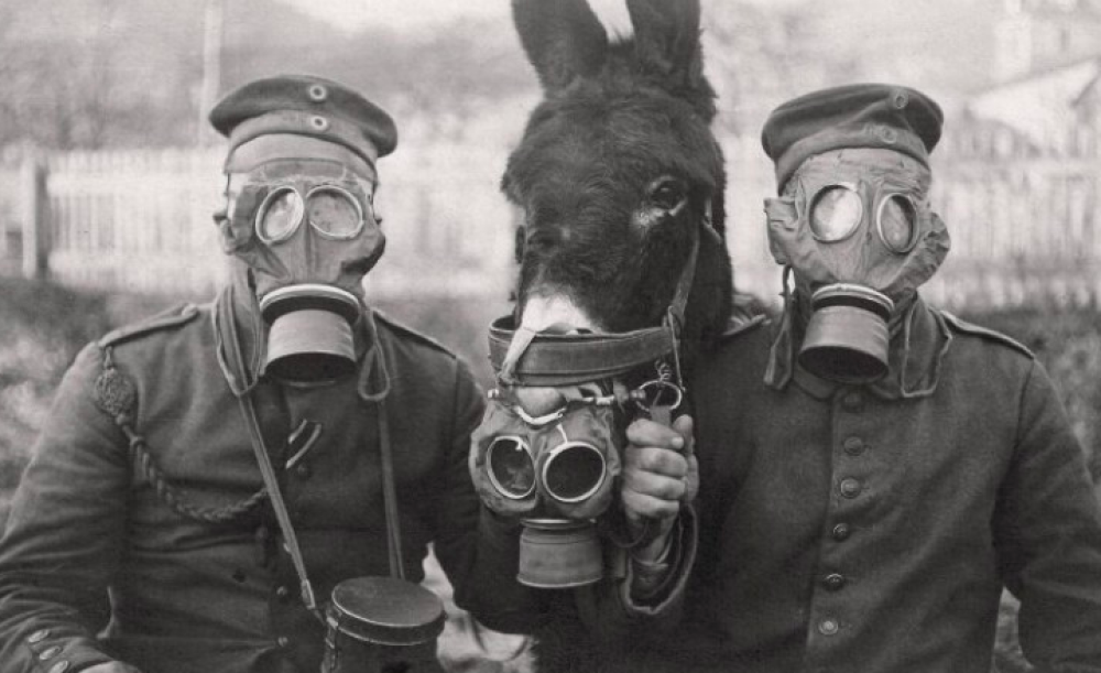 Due soldati e l'asino con le maschere antigas durante la 1° Guerra Mondiale
