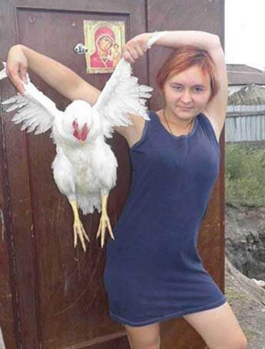 Ciapa la galeina e la proprietaria!