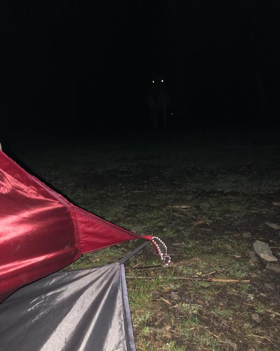 Una  tranquilla notte in tenda....