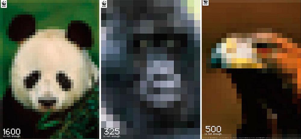 Campagna di sensibilizzazione del WWF