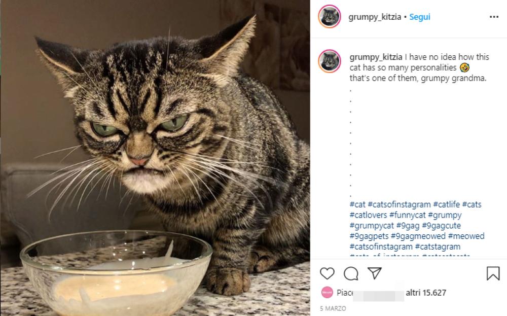 Foto bellissime