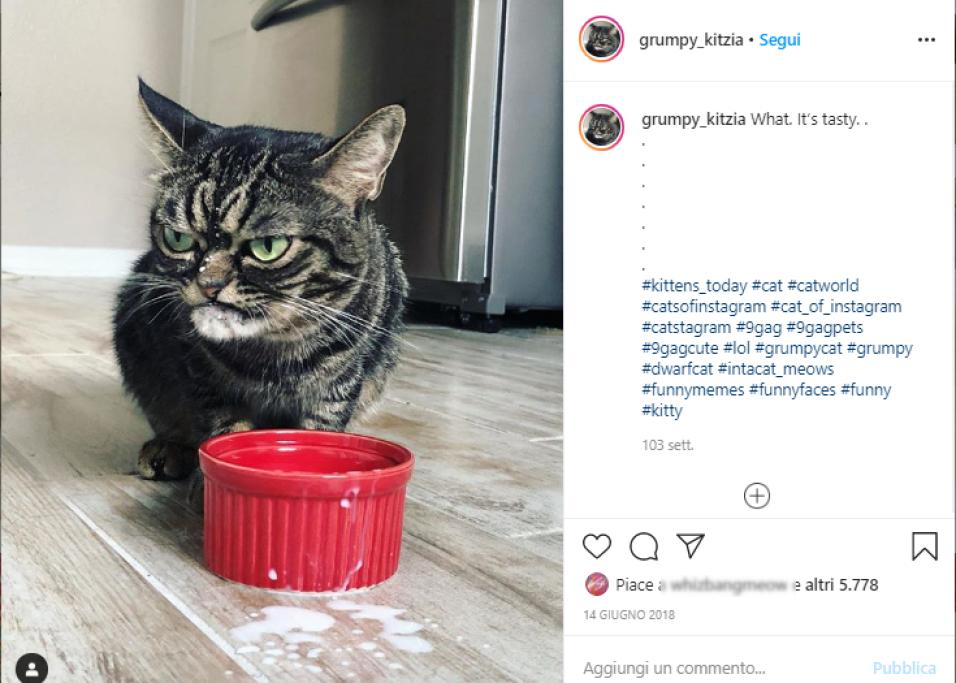 Il successo di Kitzia