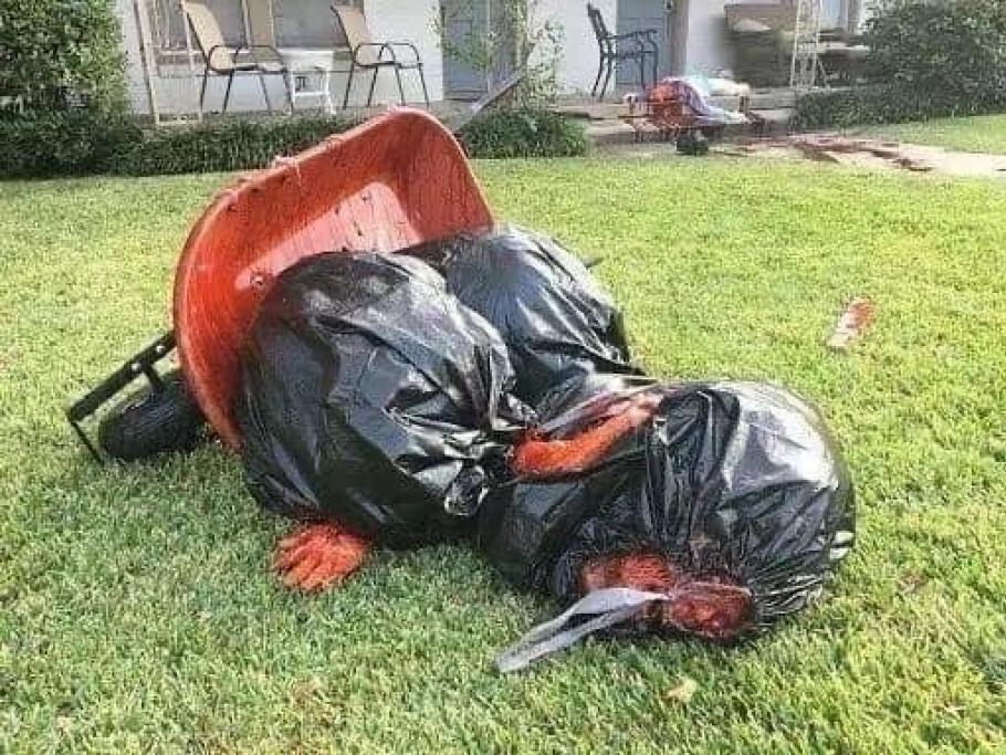 Cadaveri sparsi sul prato