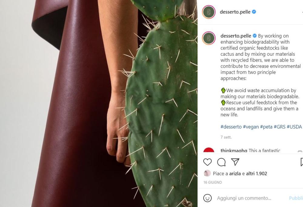 Pelle di cactus: ecologica e sembra vera!