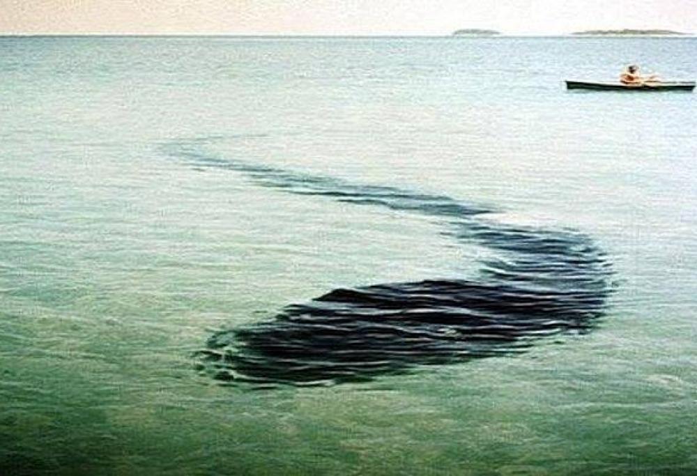 Il mistero del mostro di Hook Island e le immagini inquietanti 
