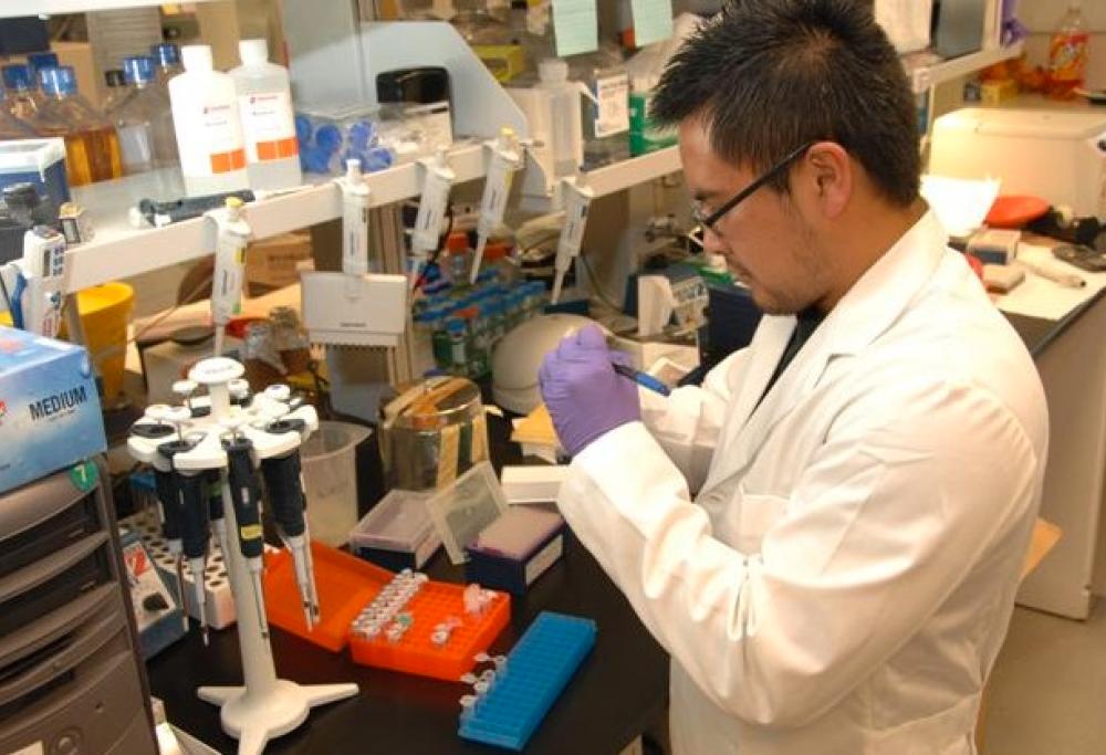 Scienza: come ricostruire le proteine 