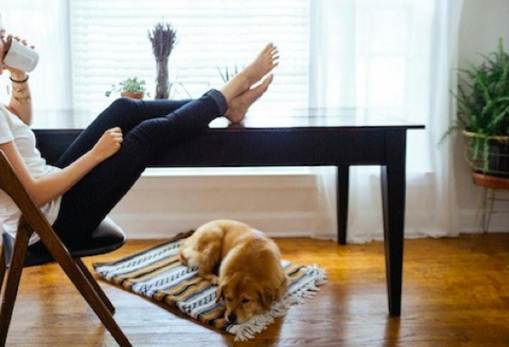 Chi dorme non piglia pesci: le ragioni per cui dovresti svegliarti prima delle sei del mattino