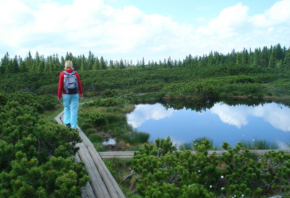 Camminare in mezzo alla natura
