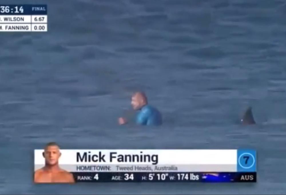 Campione di surf attaccato in diretta tv da due squali: si salva prendendoli a calci e pugni