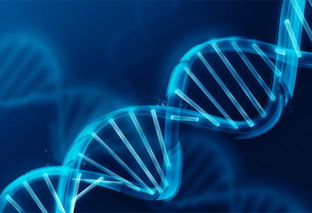 Scoperta la velocità della morte: "corre" 2 millimetri all'ora