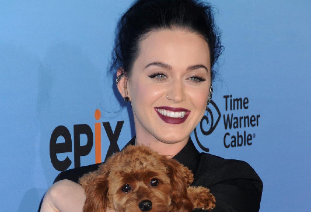 Katy Perry e Orlando Bloom insieme al Coachella Festival