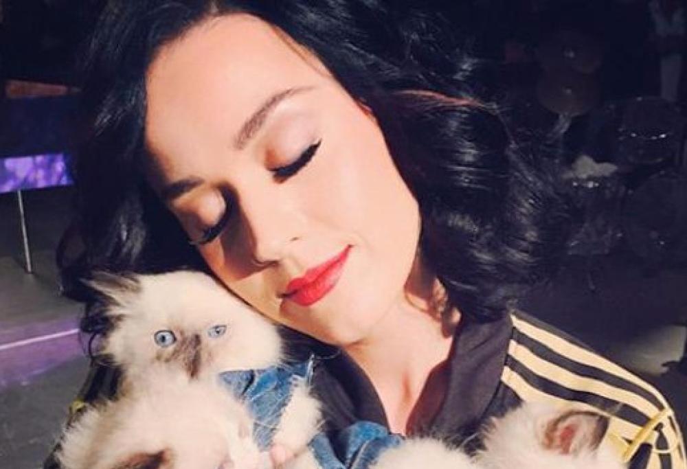 Katy Perry