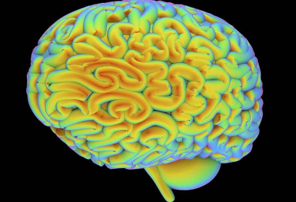 L'orgasmo visto dal nostro cervello