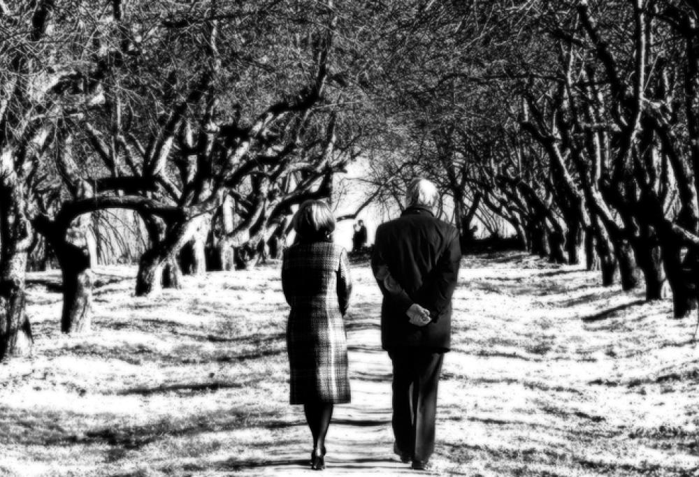 Perché uomo e donna non possono essere felici insieme, a vita