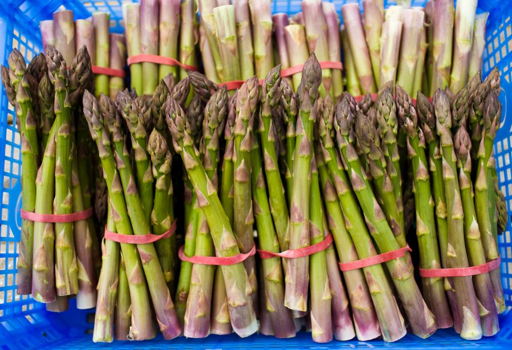Sai perché se mangi asparagi la pipì puzza?