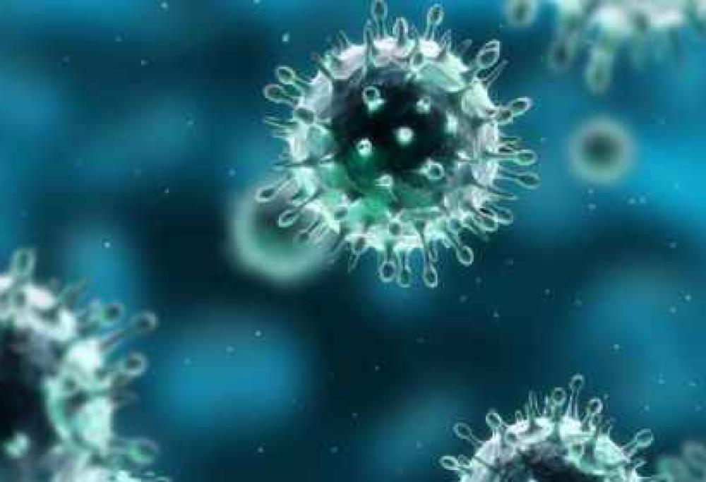 Quanti batteri ci sono nel nostro corpo?