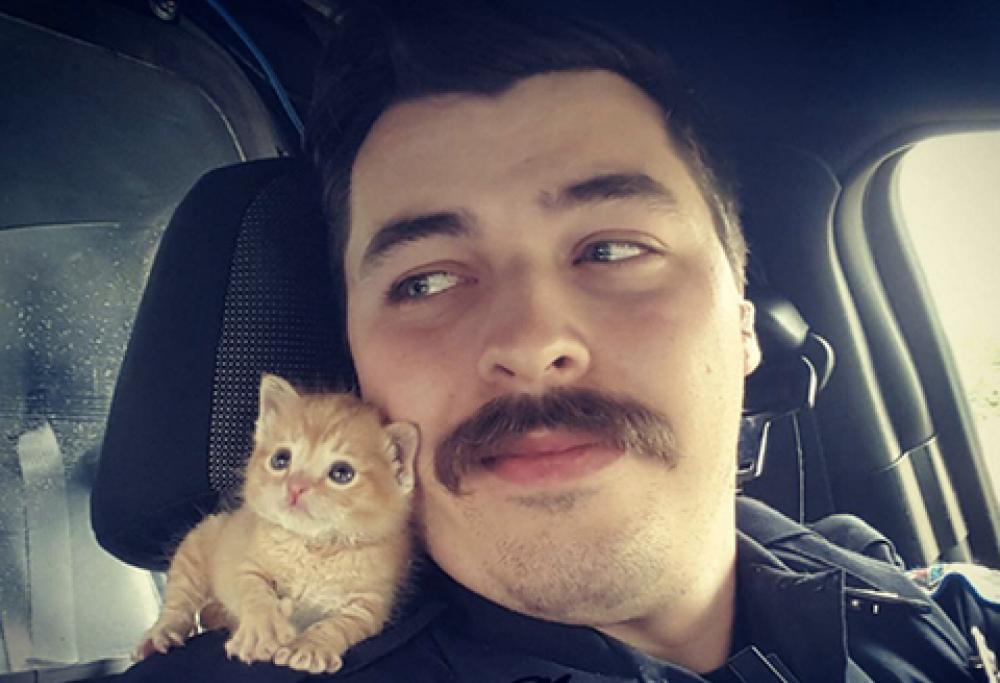 Un poliziotto salva una gattina e diventa una star del web