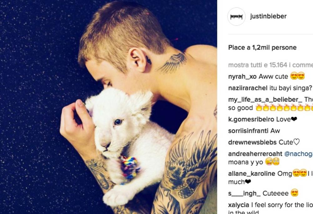 Justin Bieber pronto ad adottare un cucciolo di leone