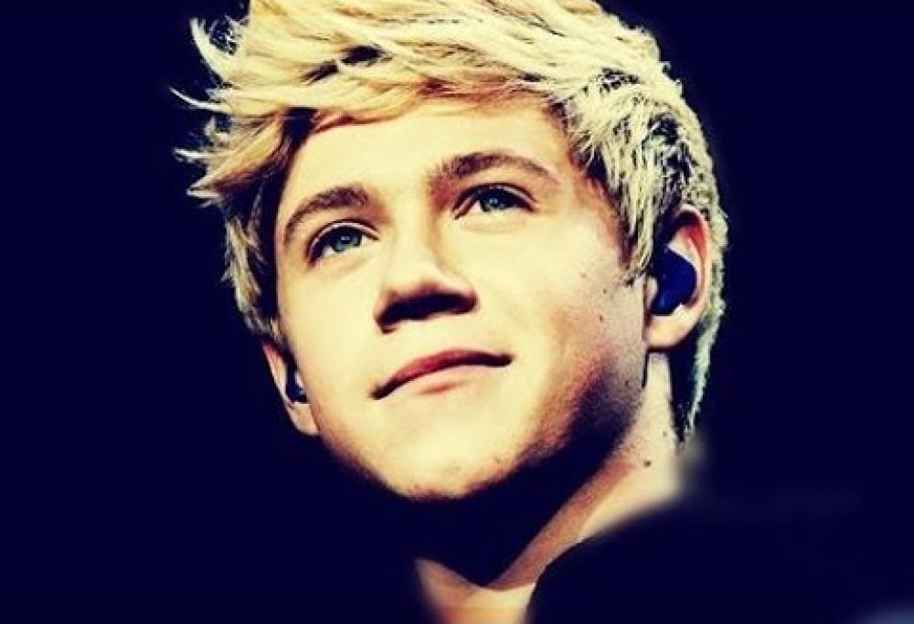 Niall Horan “si unisce agli One Lad and 2 Dads”