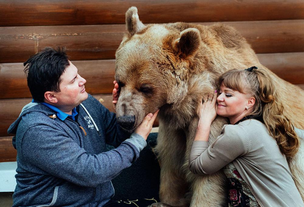 La storia dell'orso domestico: ecco come vive in casa!