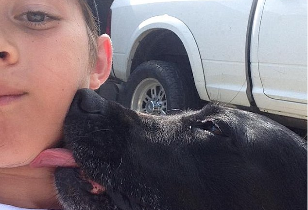 Svelato il mistero del ragazzino che abbracciava il cane.. Grazie a Facebook!