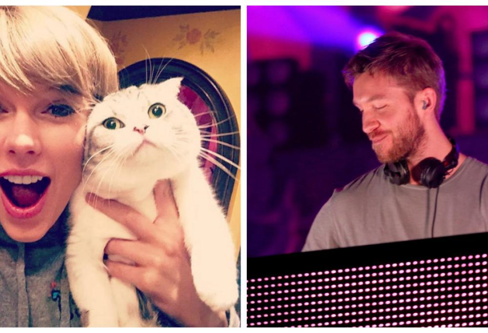 Calvin Harris: “Mi mancano i gatti di Taylor Swift”