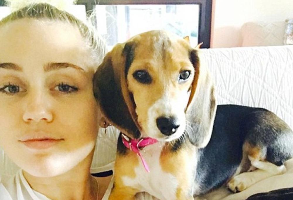 Miley Cyrus adotta un altro cane