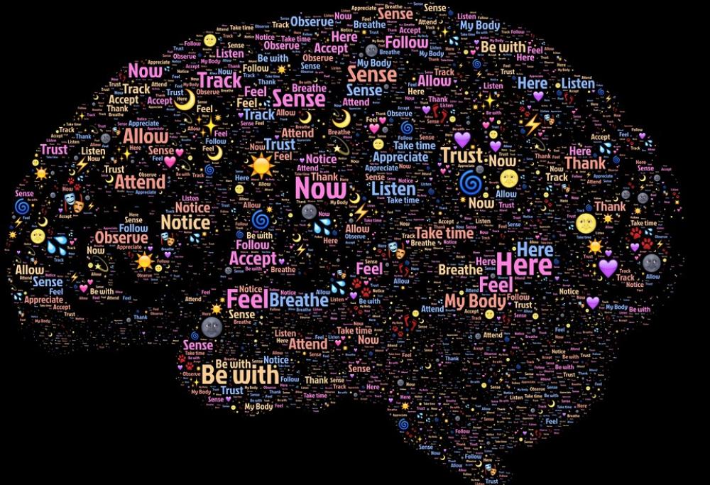 La scienza ci svela il lavoro del nostro cervello durante la notte