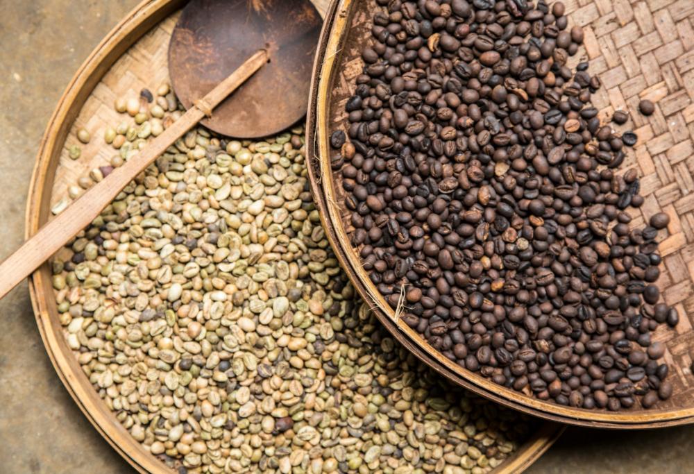 E se il caffè scomparisse? Ecco gli effetti del riscaldamento globale