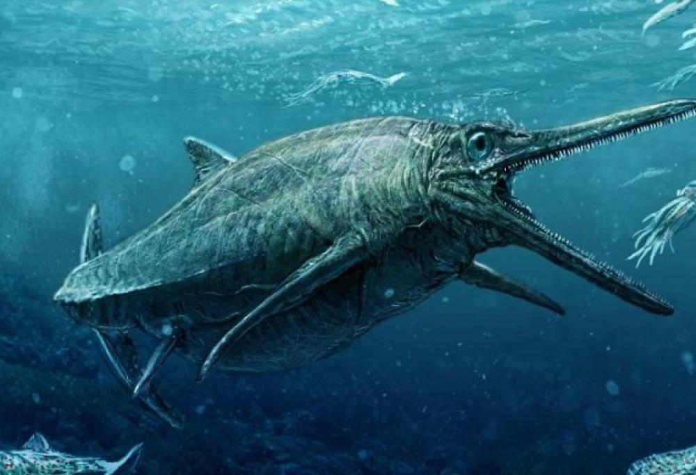 In Scozia hanno scoperto un vero mostro giurassico