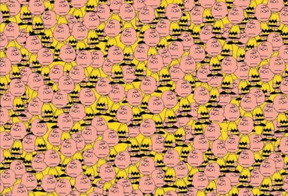 In questa immagine c'è Pikachu nascosto: trovalo!