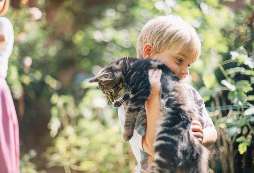 Vivi con il gatto? Occhio alle malattie mentali!