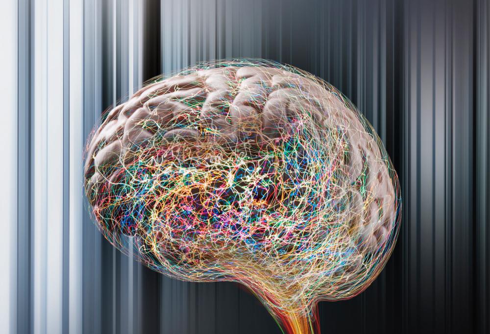 Donne e uomini, la differenza sta nel... cervello!