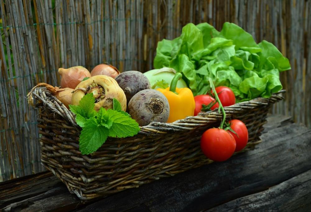 Veg-mania, numeri in aumento in Italia 