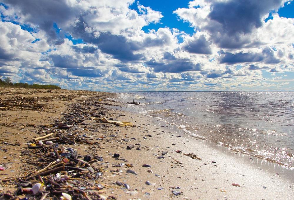 Rifiuti, mare Adriatico e Ionio simili a discariche