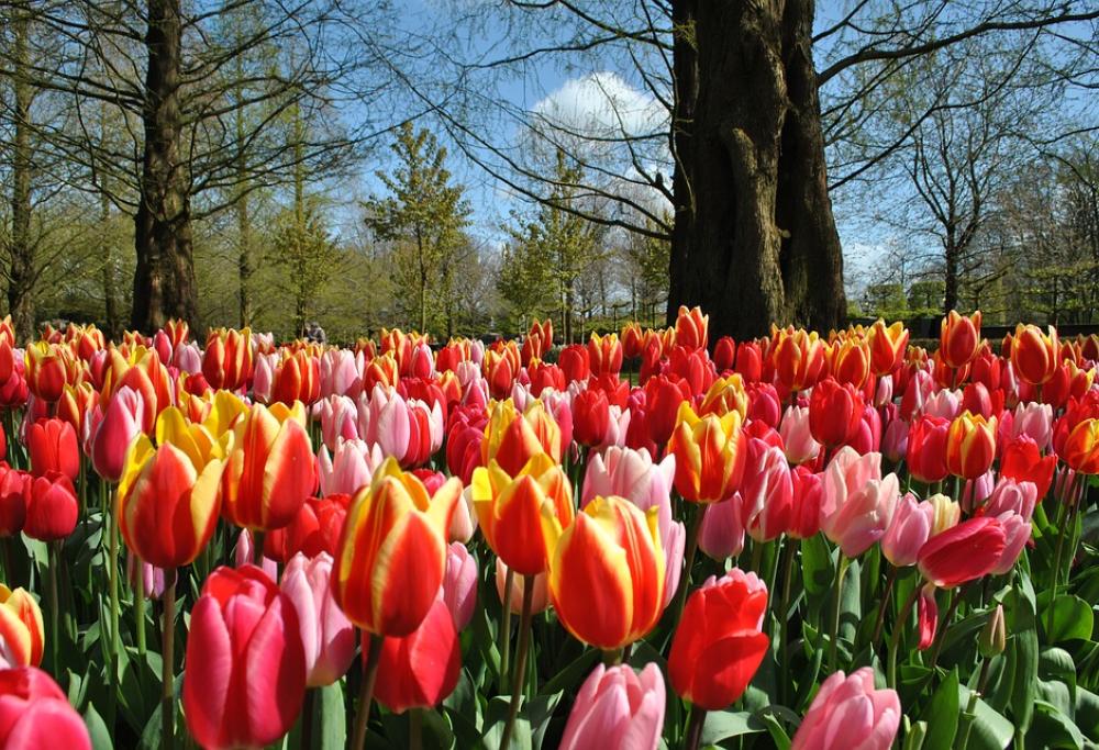 L'equinozio di primavera è oggi, il 20 marzo, e non il 21. Ecco il perché