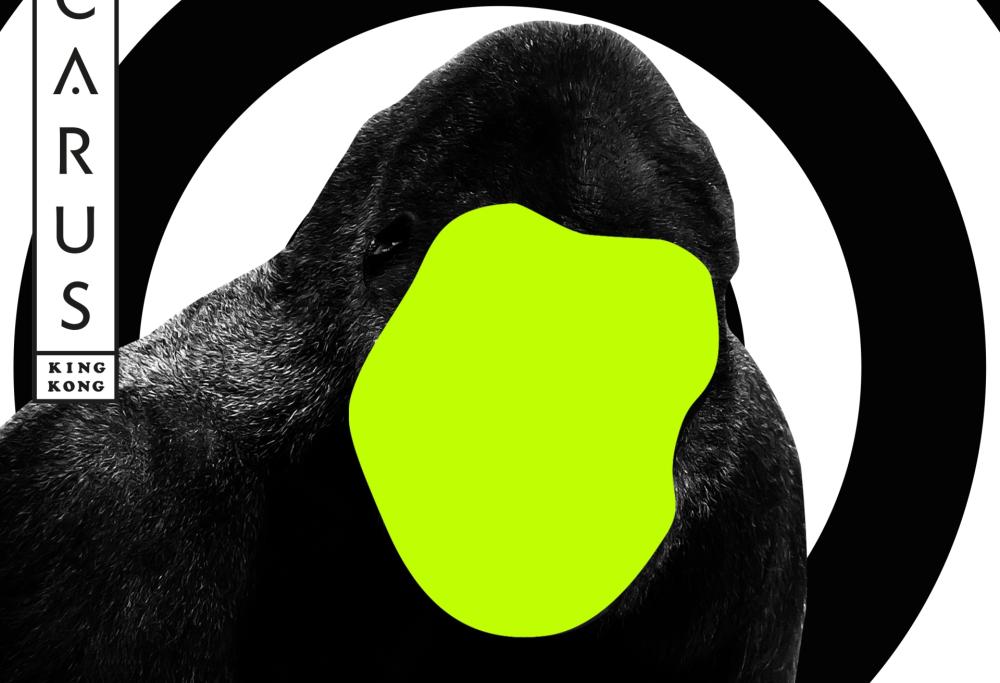 ICARUSKink Kong