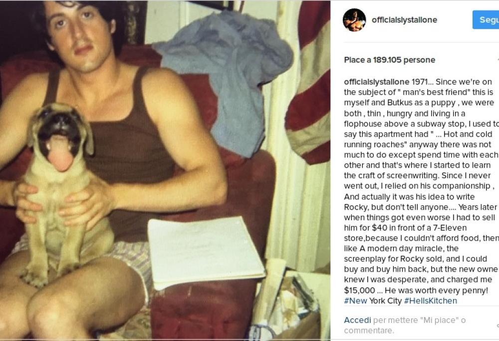 Sylvester Stallone: “Non avevo soldi per mangiare e ho venduto il cane”