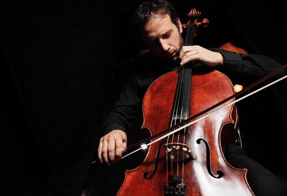 Cacciato dall'aereo per il violoncello, ma aveva il biglietto per lo strumento