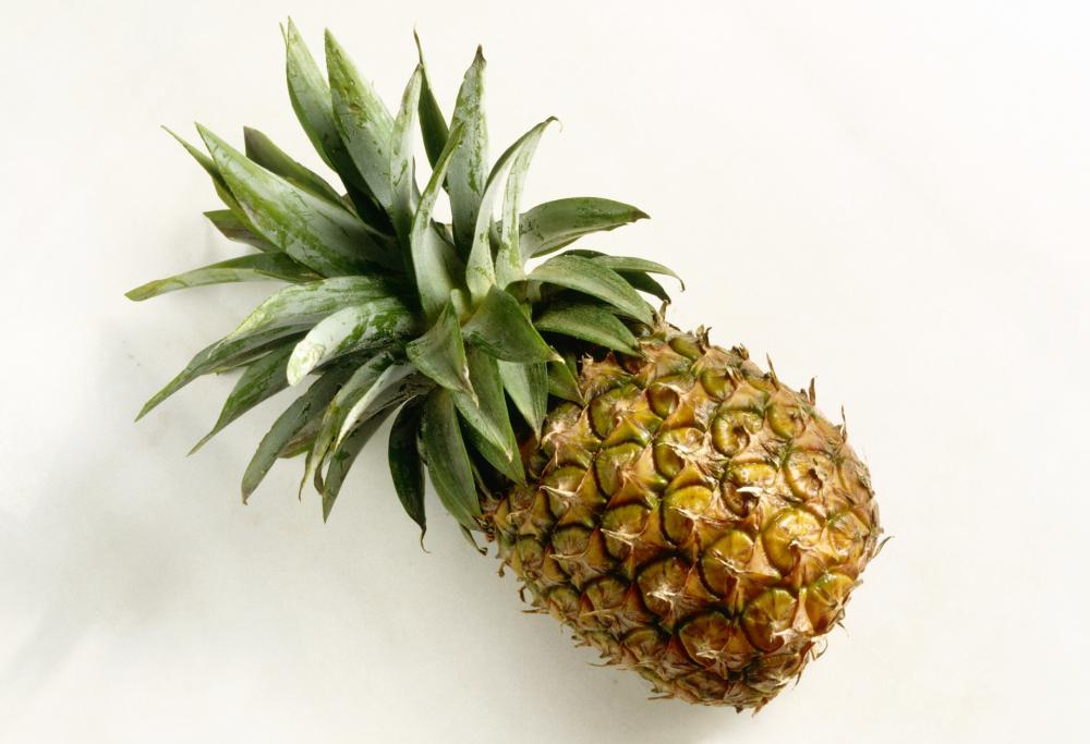 Lasciano ananas in un museo, diventa opera d'arte