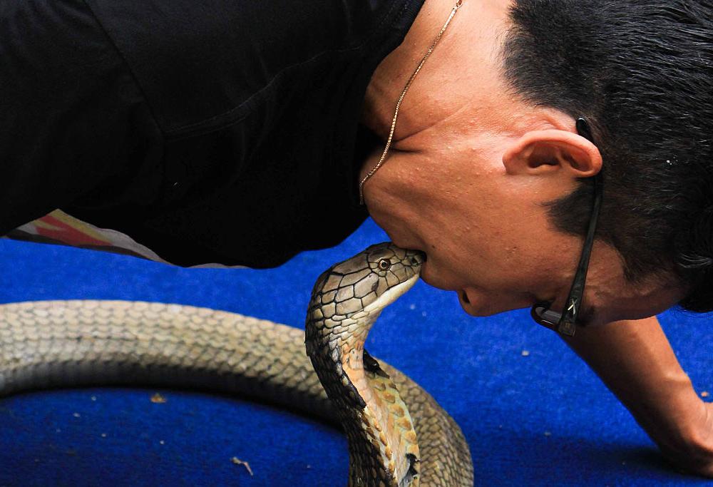 Uomo e cobra si innamorano: adesso si amano e convivono