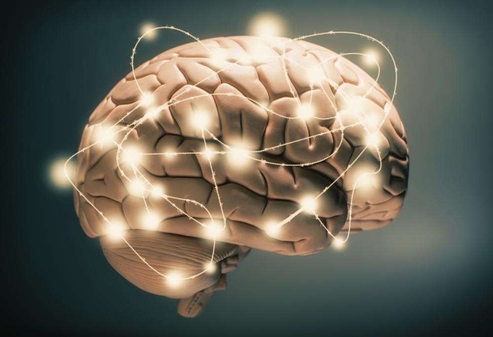 Il cervello degli adolescenti? Piccolo ma denso di materia grigia