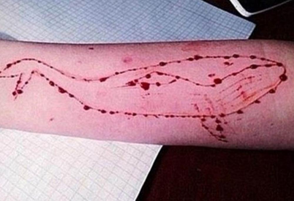 White Whale: ecco la risposta "positiva" a Blue Whale