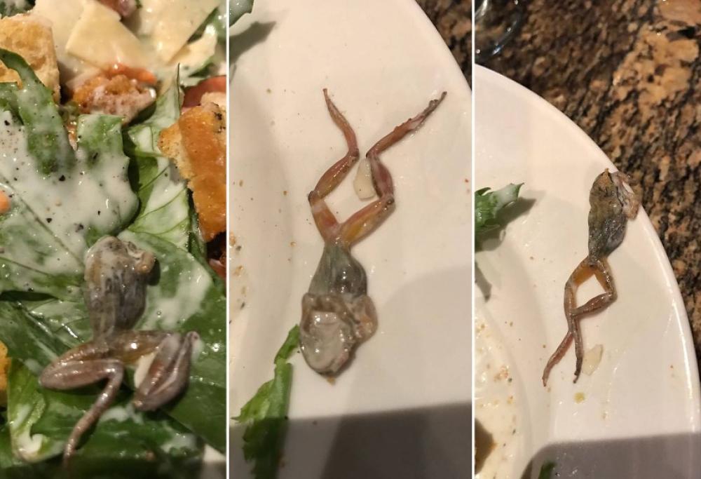 California: al ristorante ordina un’insalata ma dentro c’è una cosa disgustosa