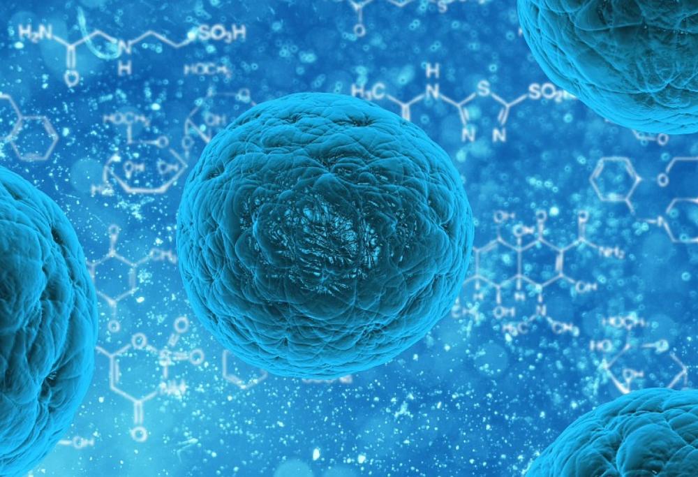 Infarto, uno studio italiano rivela la responsabilità di un batterio