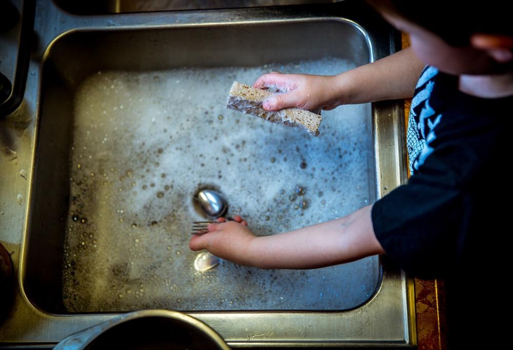 La spugna da cucina è un mondo di batteri