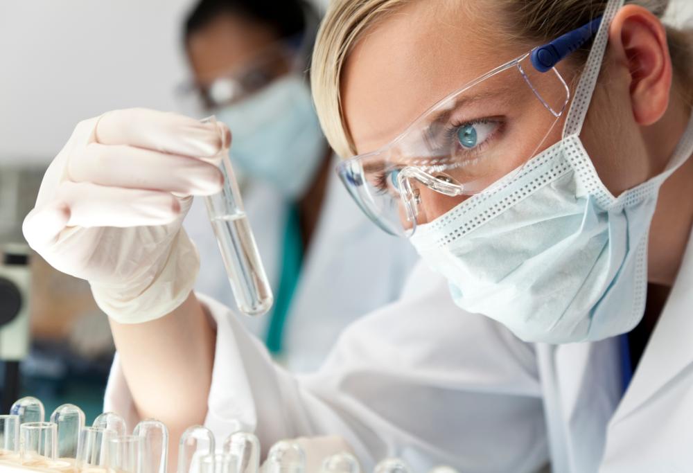 Allarme "Candida auris": il fungo resistente ai farmaci
