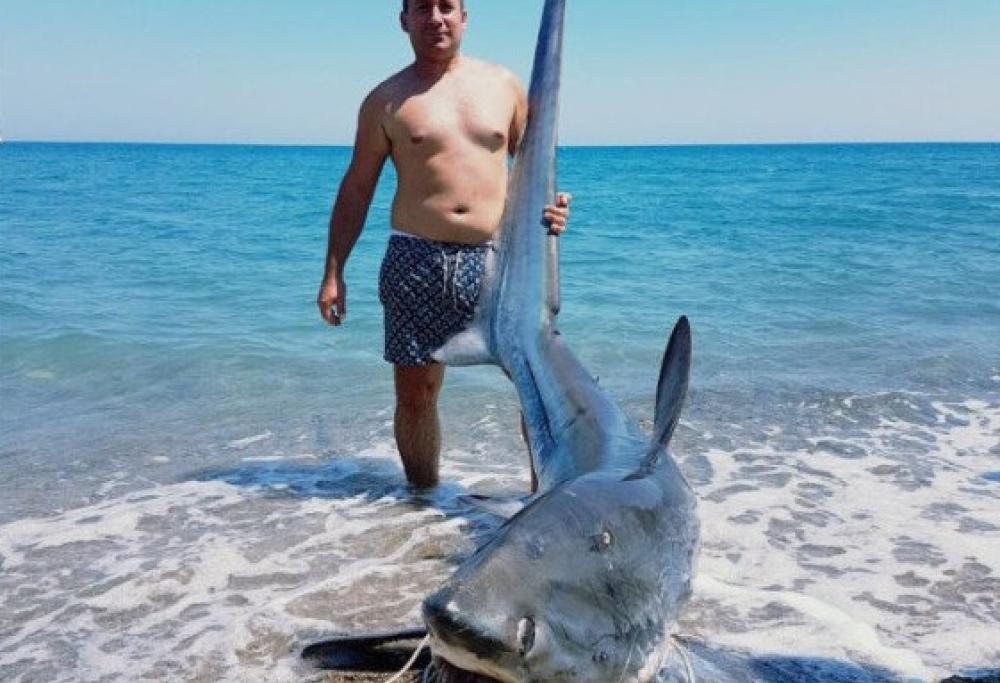 Crotone, va a pesca e prende uno squalo da 200 kg